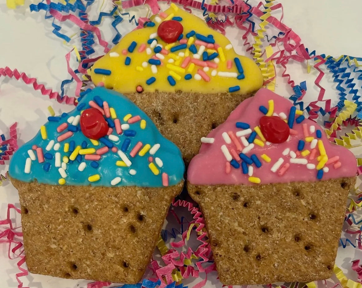 Medium Cupcake Dog Treats 🧁